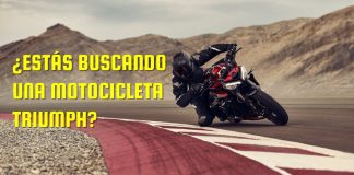 triumph mexico